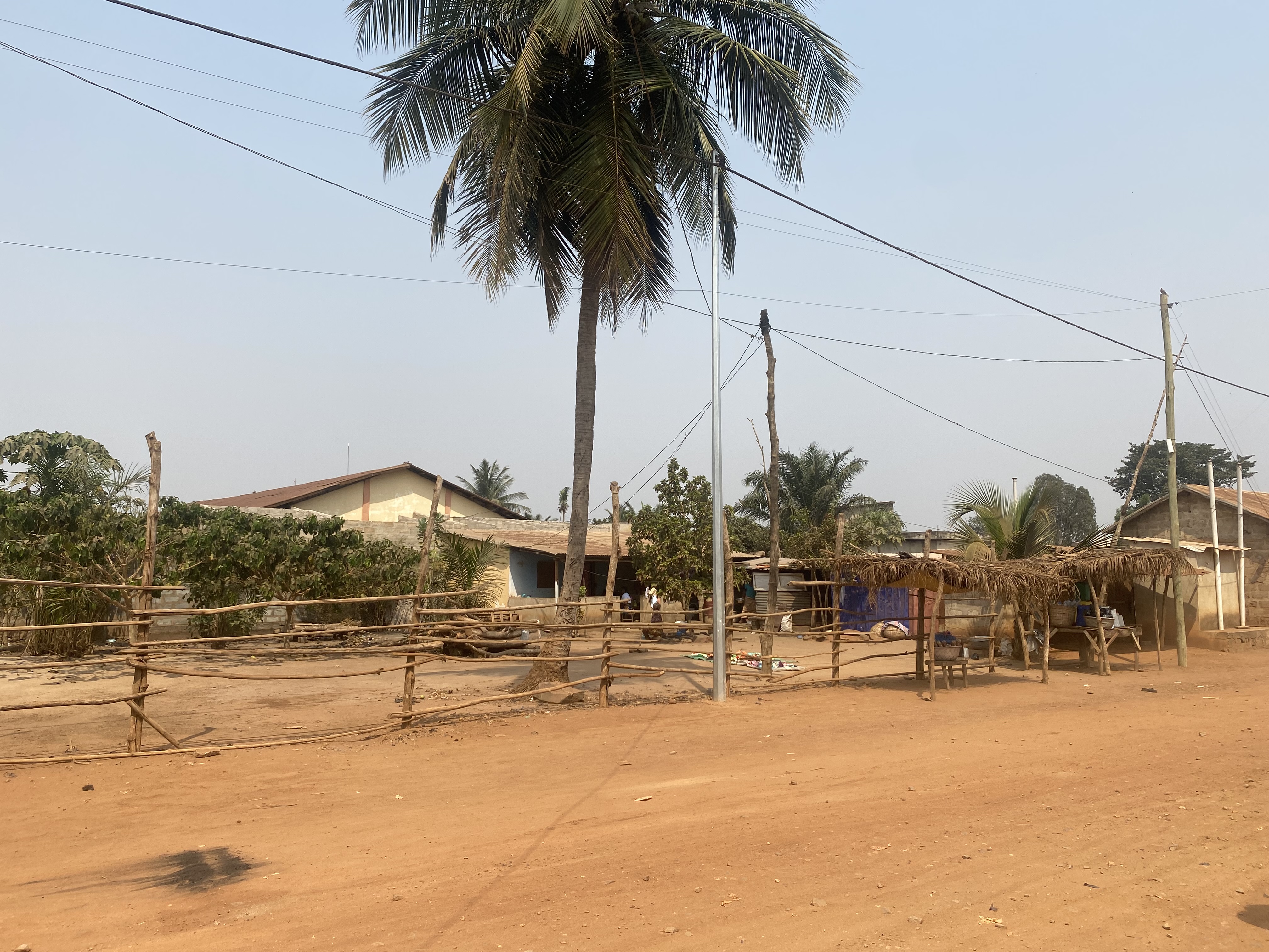 Habitations et palmiers à Agbélouvé